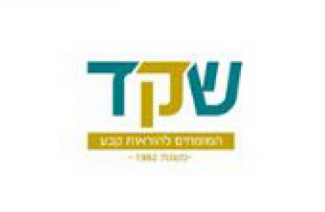 שקד כתיבת תוכן לאתר