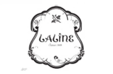 ללין קופירייטינג לדיוור ישיר