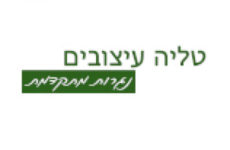 טליה עיצובים עיצוב פרופיל חברה